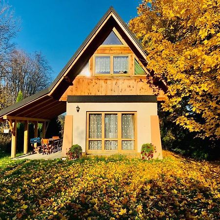 Domek U Mikolaja Zakopane Ngoại thất bức ảnh